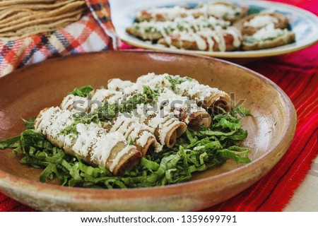 Stock fotó: Mexican Taco With Chicken Meat Jalapeno Fresh Vegetables Served With Guacamole