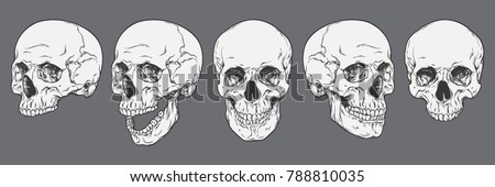 Stock photo: Human Skull - Bone Head Dead Teeth Spooky Scary Pirate Isolated