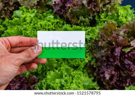 Foto d'archivio: Agricultural Farmer Holding Blank Business Card In Sunflower Fie