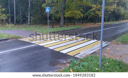 Stock foto: Zebras Running Through The Forest Zebras In The Natural Environment