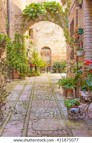 Plant In A Pot In An Ancient Town In Summer Сток-фото © Frank11