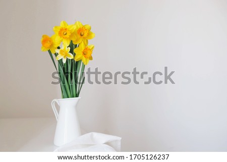 Stockfoto: Beautiful Daffodils Narcissus