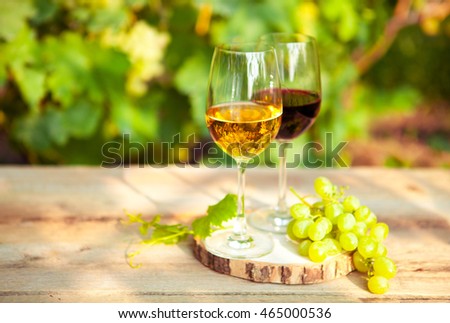 Foto d'archivio: Green Grapes And Two Glasses Of The White And Red Wine On The Vi