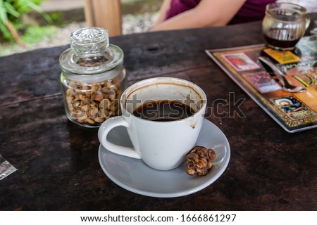 Stock photo: Kopi Luwak Or Civet Coffee Coffee Beans Excreted By The Civet Banner Long Format