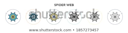 Foto stock: Spider Filled Color Icon Animal Vector Illustration