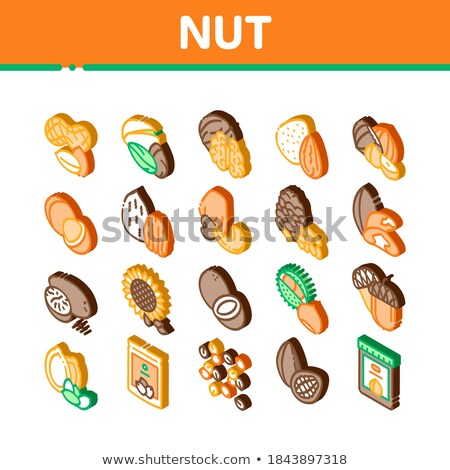 Nut Food Different Isometric Icons Set Vector Foto stock © pikepicture