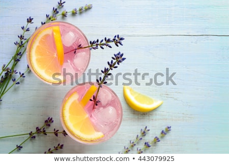 Zdjęcia stock: Summer Cocktail