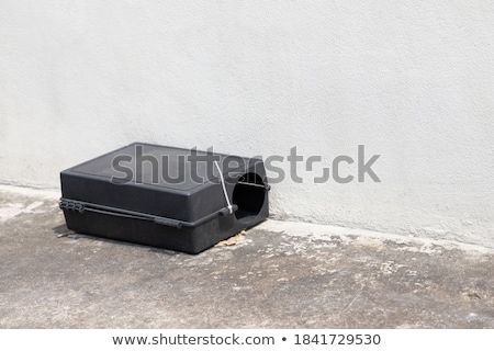 Сток-фото: Black Plastic Mousetrap With Bait
