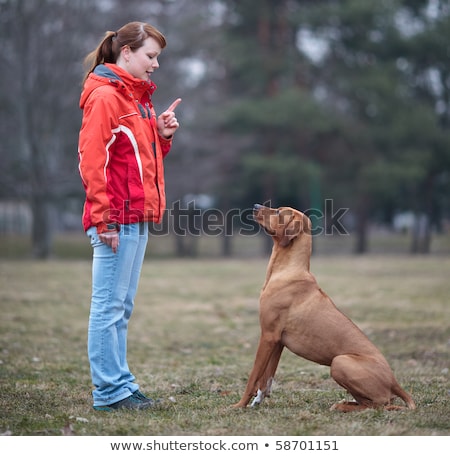 Stock foto: Master And Her Obedient Dog