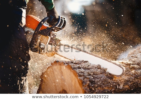 Stock photo: The Lumberjack And The Forest