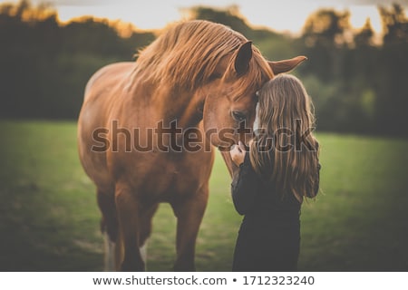 ストックフォト: Girl With A Horse