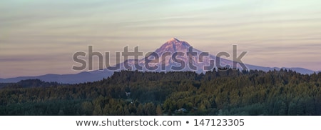 Foto stock: Mount Hood Oregon Rural Area Panorama