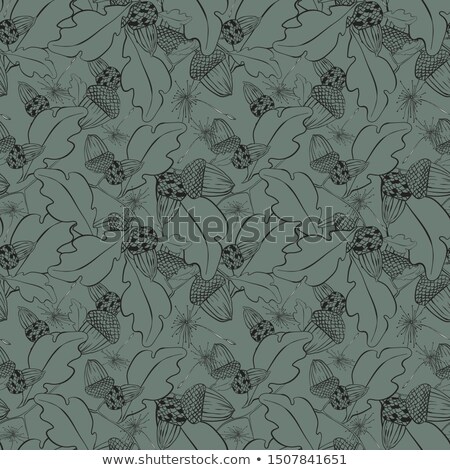 Stock photo: Old Grunge Paper With Autumn Oak Leaves And Acorns On The White