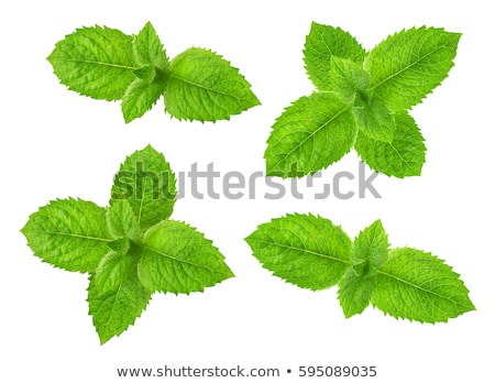 Foto d'archivio: Cocktail With Mint Isolated
