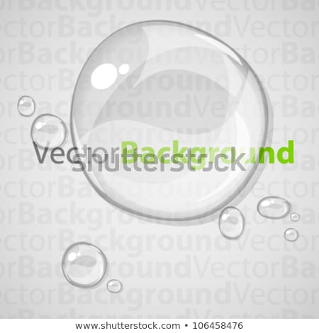 Foto stock: Realistic Transparent Water Drops Eps 10