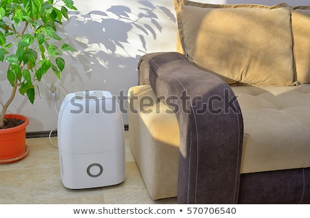 Foto stock: Portable Dehumidifier Colect Water From Air