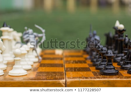 Stock photo: Ready For Battle