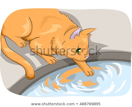 Stock fotó: Cat Water Temperature Test