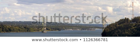 Stockfoto: Tacoma Narrows Bridge Panorama