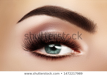 Stockfoto: Beautiful Macro Shot Of Female Eye With Extreme Long Eyelashes And Smoky Makeup Perfect Eyebrows An