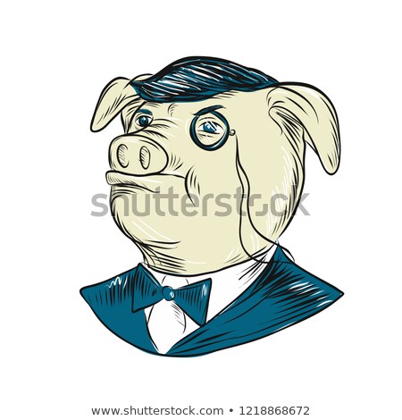 Stok fotoğraf: Mister Pig Monocle Drawing