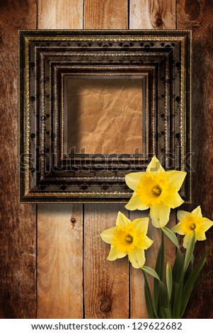 Foto d'archivio: Old Wooden Frame For Photo With Bunch Of Flower Narcissus