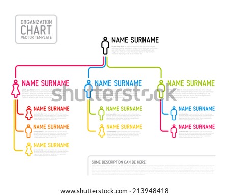 Foto stock: Vector Modern Organization Chart Template Made From Thin Lines