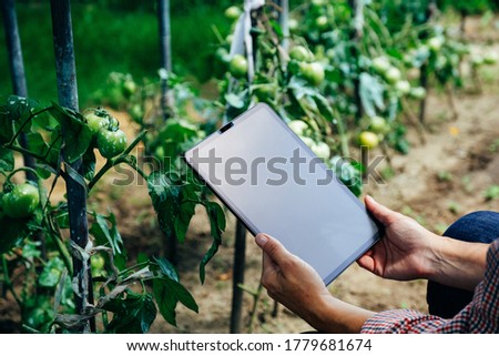 Imagine de stoc: Sustainability Concept Woman With Digital Tablet Computer Outdo