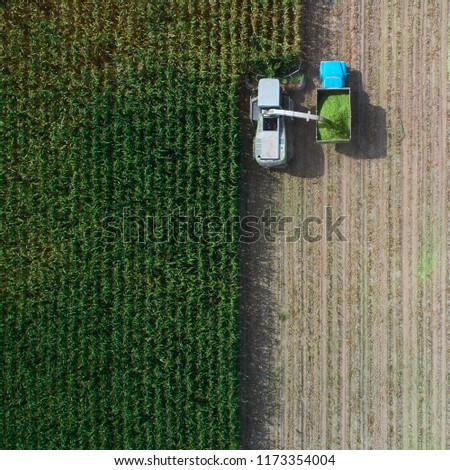 Stock fotó: Aerial View Of Combine Pouring Harvested Corn Grains Into Traile