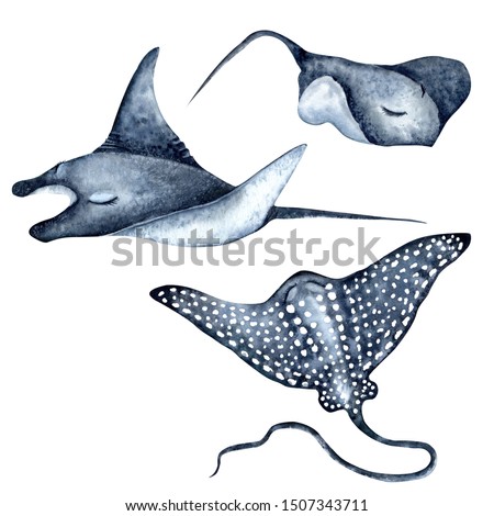 Foto d'archivio: Spotted Stingray Sea Ray Marine Life Underwater Creatures Design For Attributes Of Water Park An