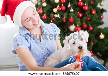 Foto stock: Santa Dog And Bone Christmas Home Pet Xmas And New Year Vector