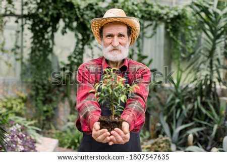 Stock foto: Mature Gardener In Hat And Apron Standing Among Flowers In Bloom