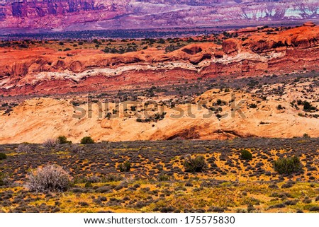 Stockfoto: Yellow Grass Lands Red Canyon Moab Fault Arches National Park Mo