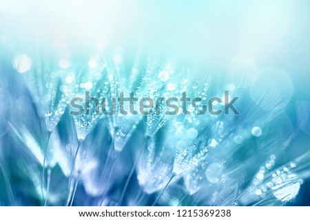 Stock photo: Abstract Beautiful Gentle Spring Flower Background Closeup With Soft Focus Sweet Color