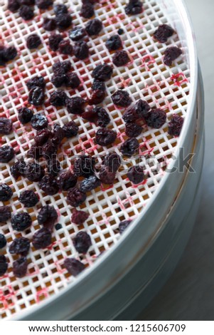 ストックフォト: Cherries Dried In A Dehydrator Dryer A Way To Preserve Vitamins