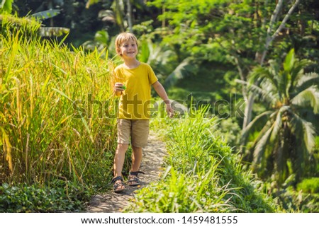 Stock foto: Boy On Green Cascade Rice Field Plantation At Tegalalang Terrace Bali Indonesia Traveling With Chi