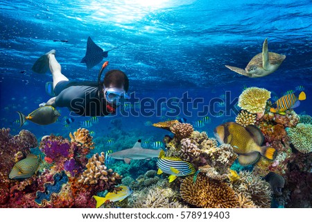 Foto stock: Young Men Snorkeling Exploring Underwater Coral Reef Landscape Background In The Deep Blue Ocean Wit