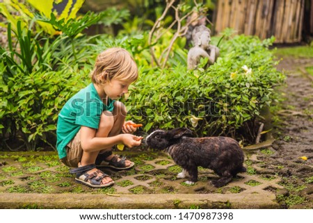 Foto stock: The Boy Feeds The Rabbit Cosmetics Test On Rabbit Animal Cruelty Free And Stop Animal Abuse Concep