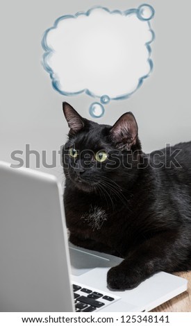 [[stock_photo]]: Black Solid Cat Working With Laptop Big Boss Funny Concept Bla