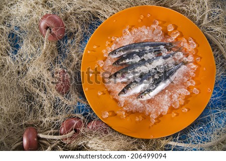 Fresh Anchovies On A Bed Of Ice Stock photo © Fotografiche