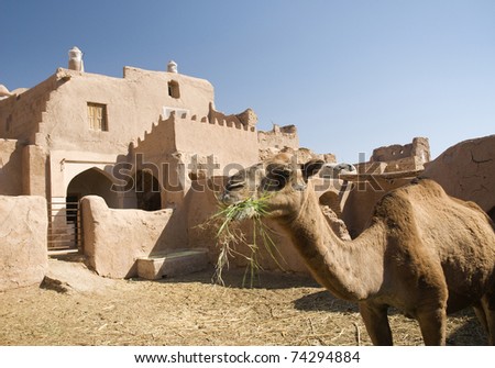Foto stock: Iran Garmeh Oasis Adobe Iranian Traditional Architecture Camel D