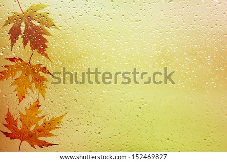 Stockfoto: Dried Autumn Leaves Lying On The Background Of The Rainy Window