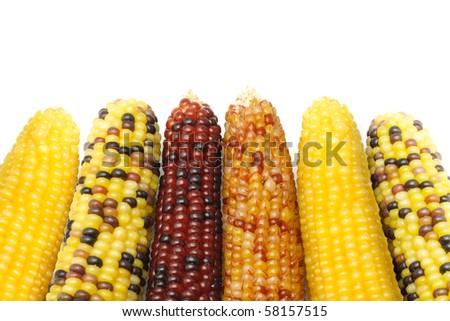 Foto stock: Corn Cobs On A White Background Isolated Decorative Frame Food Background Copy Space Top View