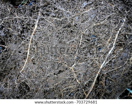 [[stock_photo]]: The Fire In The Field Fire Line Disaster Landscape Autumn Spring