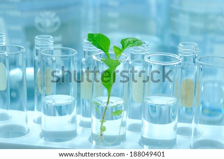 Foto d'archivio: Biotechnology Chemical Laboratory Glassware Bio Organic Modern