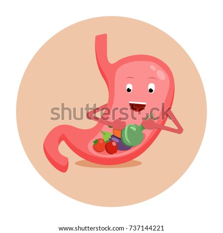 ストックフォト: Stomach Isolated Belly Icon Internal Organ Sign Vector Illust