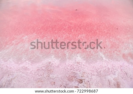 Foto stock: Brine And Salt Of A Pink Lake Colored By Microalgae Dunaliella Salina Famous For Its Antioxidant P