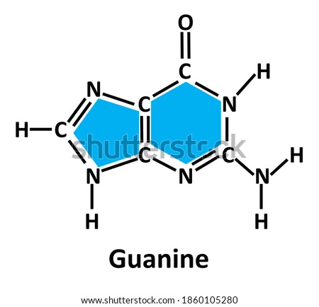 Stok fotoğraf: Chemical Structure Of Cytosine One Of The Four Main Nucleobases Simple Black Icon