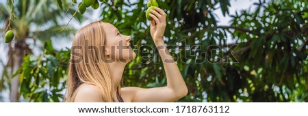 Stok fotoğraf: Young Woman Sniffing Mango Fruit On A Tree In The Garden Harvesting Close To Nature Banner Long F