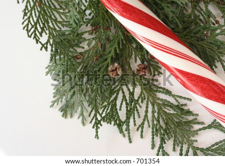 [[stock_photo]]: Peppermint Candy Canes With Evergreen Branches On Red Background